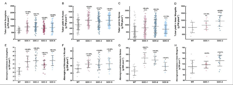 GOC馬鈴薯不同產(chǎn)區(qū)的產(chǎn)量與生物量